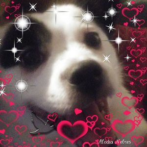 Meet your Posher, Vicki